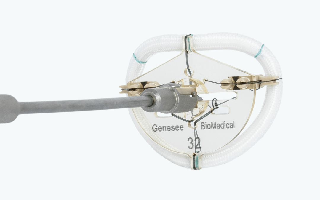 TransForm™ McCarthy Mitral Annuloplasty Ring