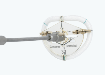 TransForm™ McCarthy Mitral Annuloplasty Ring