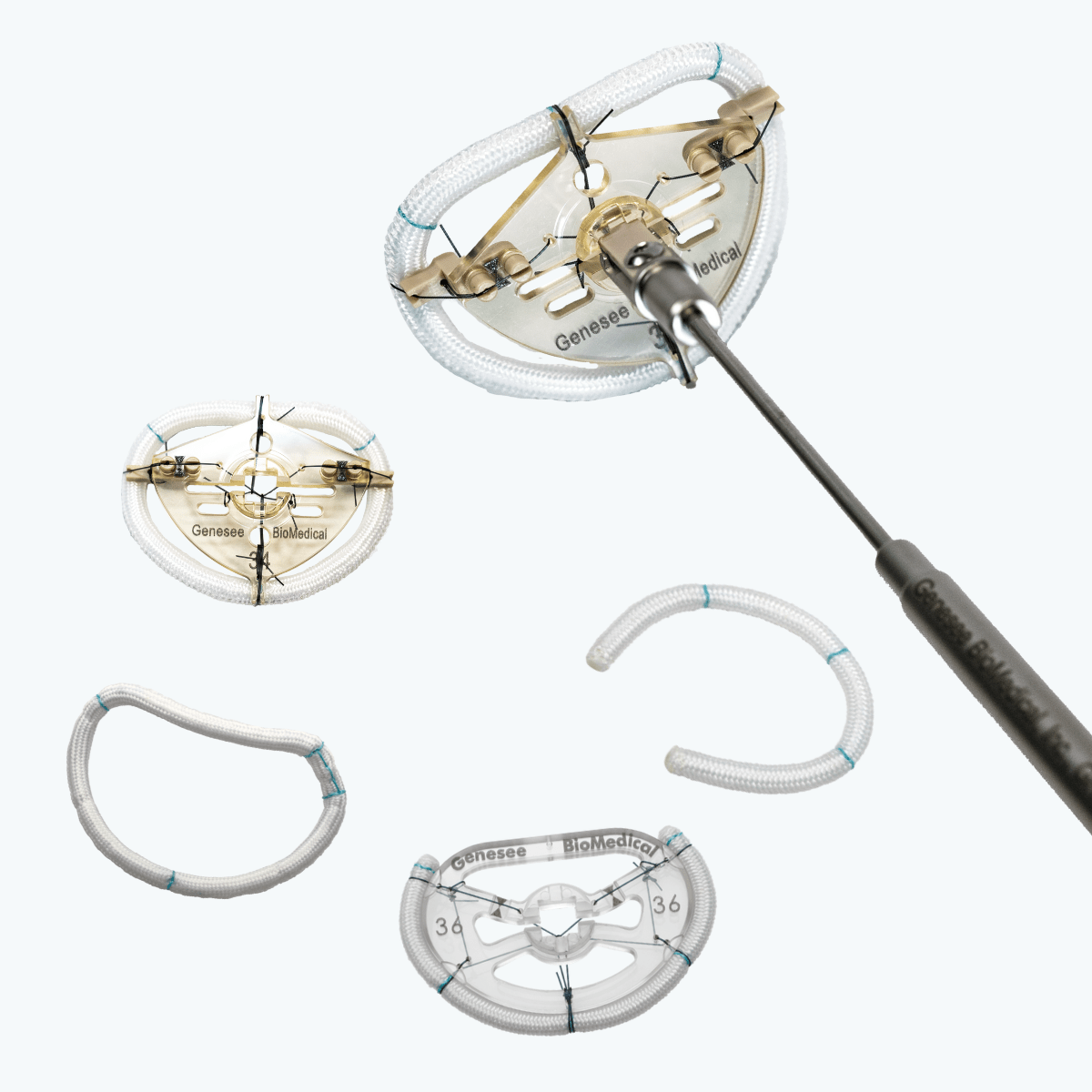Heart Valve Repair