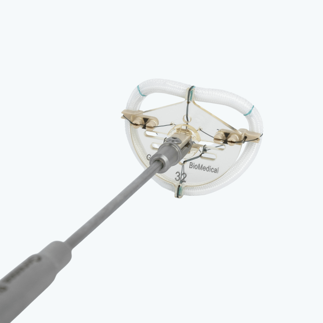 TransForm™ ring mounted on surgical holder for mitral valve repair