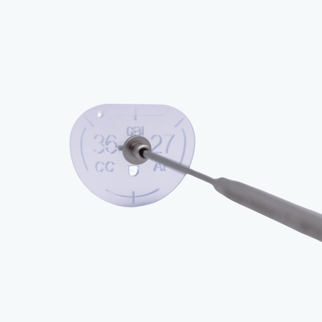 TransForm™ ring mounted on surgical holder for mitral valve repair