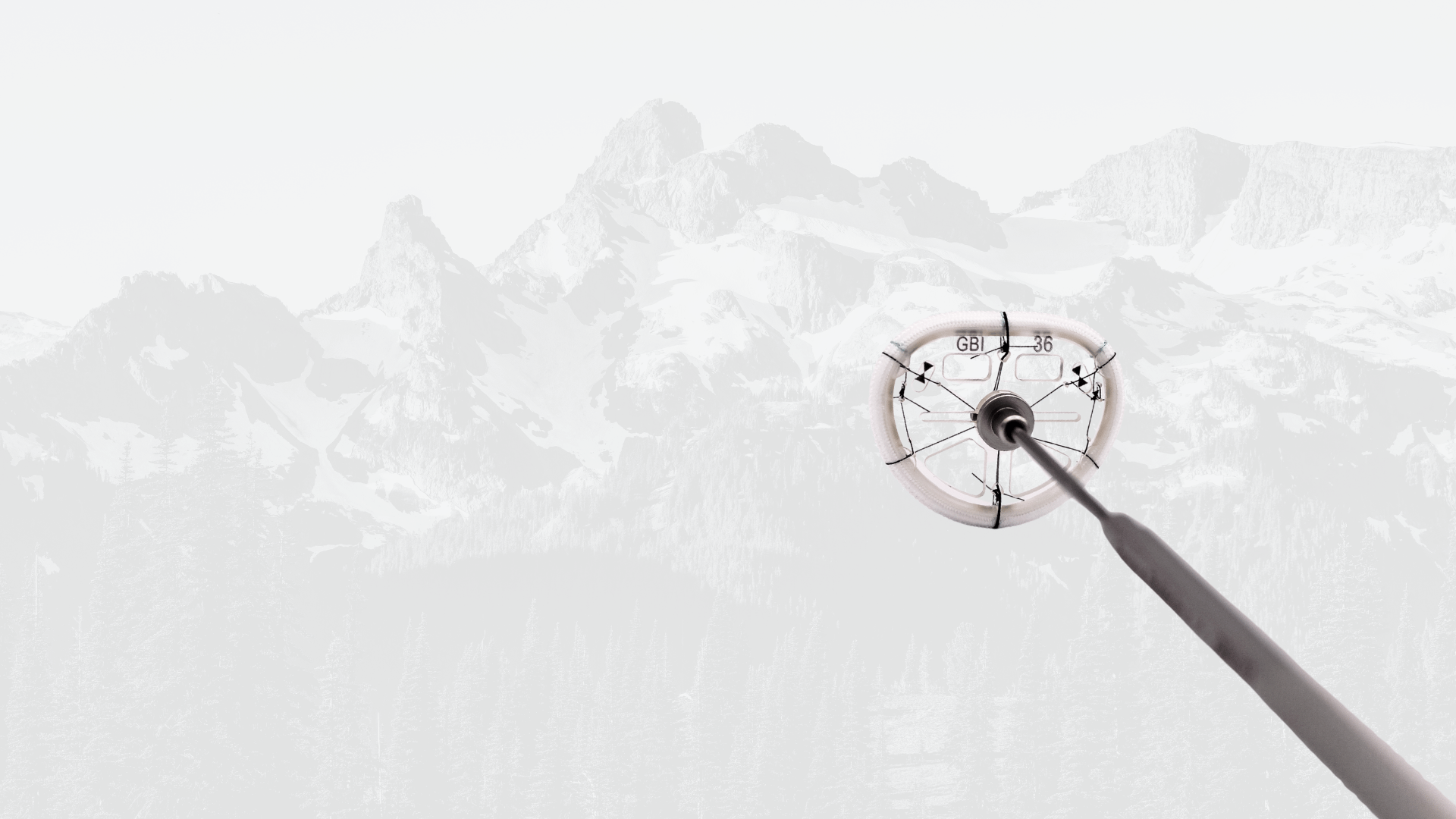 Photo of the Genesee BioMedical TransForm™ McCarthy Annuloplasty Ring, a semi-rigid device for mitral valve repair.