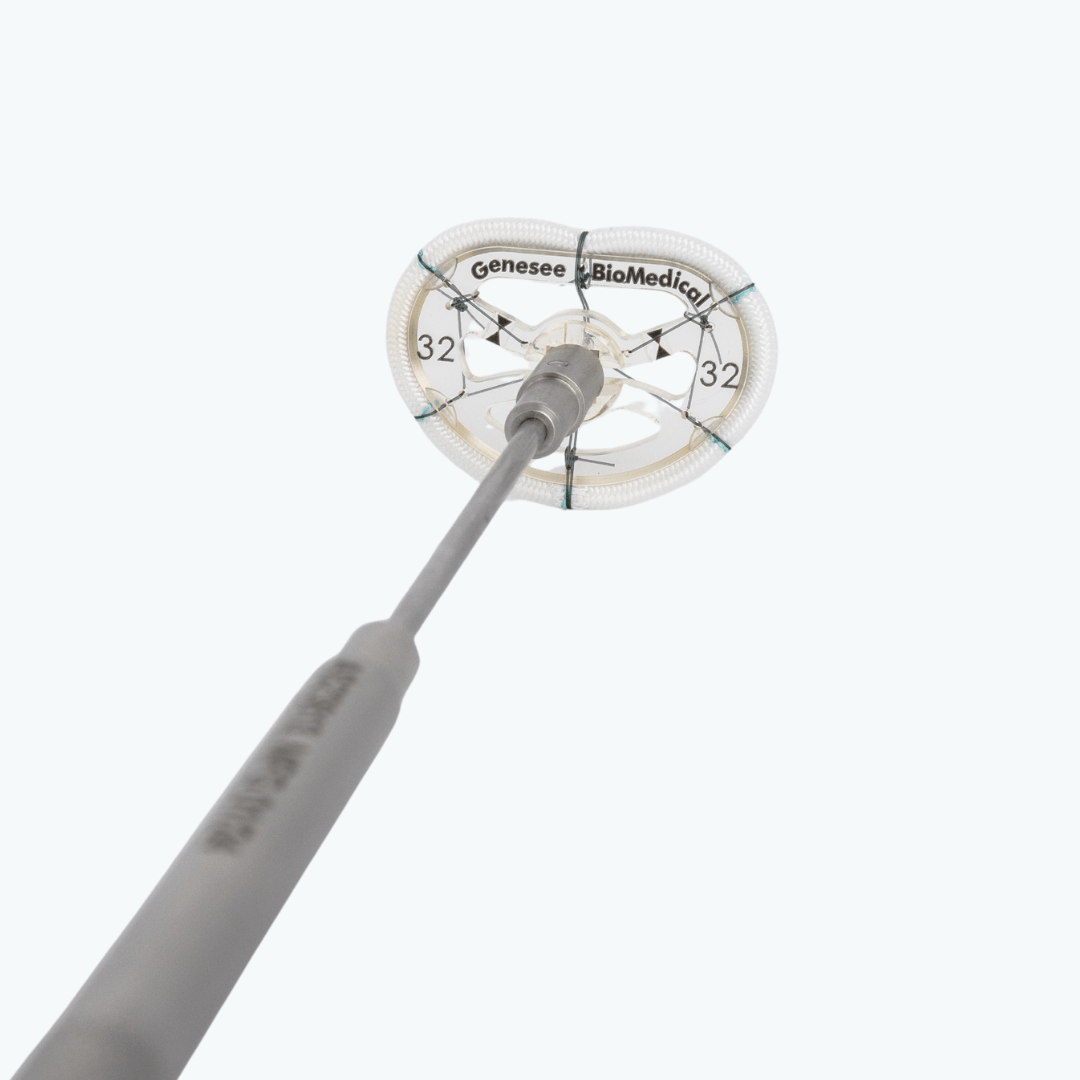 flexible annuloplasty ring on holder